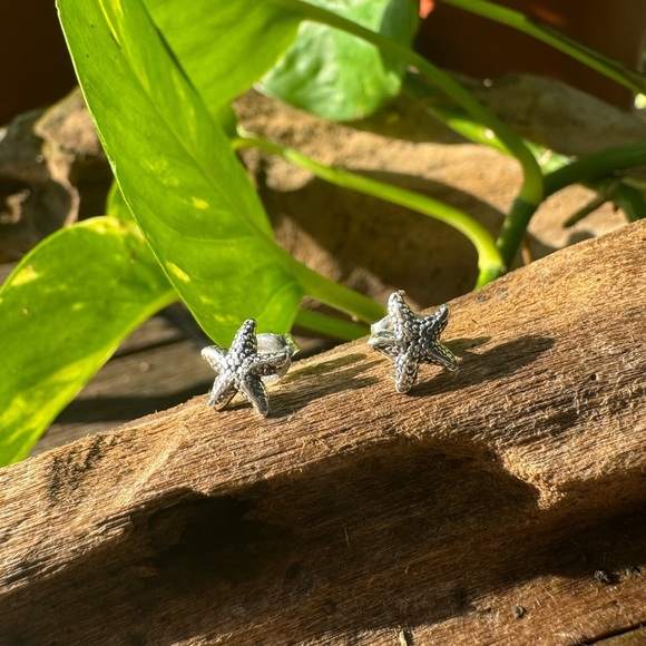 925 Sterling Silver earrings Ear Stud starfish NWot - Picture 2 of 3